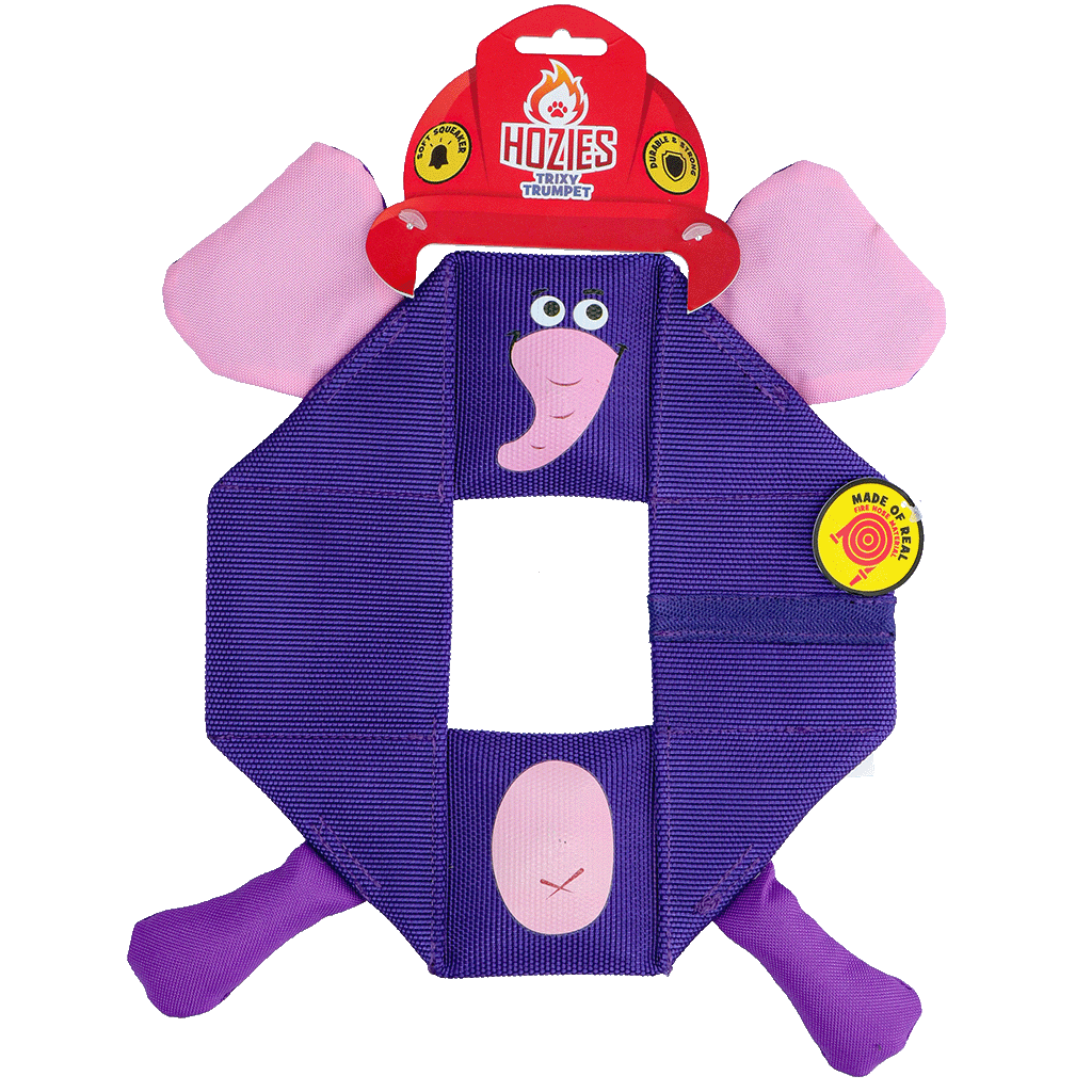Trompete Trixy Octagon de Hozies