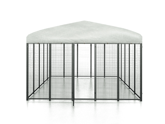 Cucciolotta Polly Run Kippenren