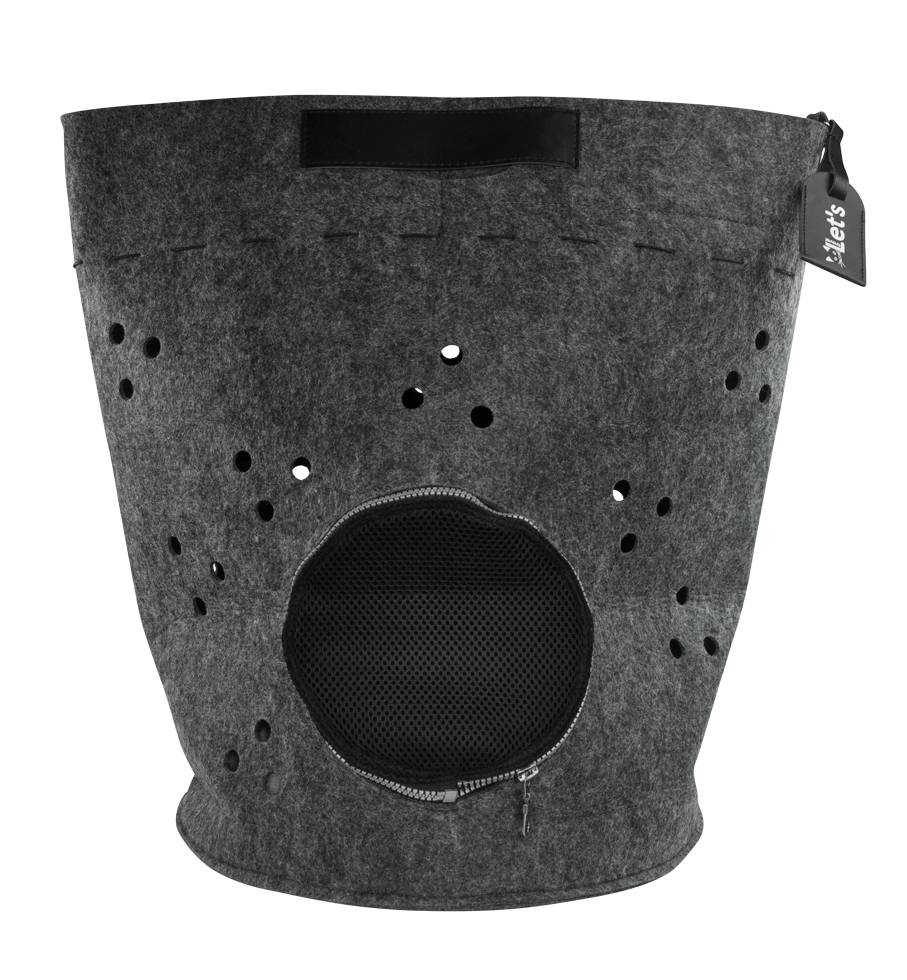 Vamos viajar para Antraciet