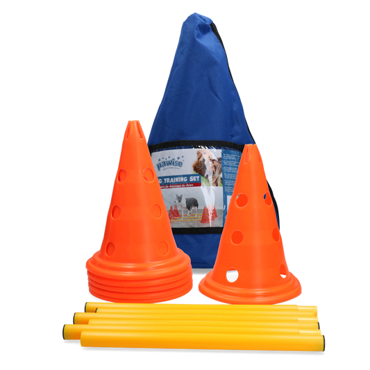 Conjunto de Treinamento de Agilidade Canina Paiwise