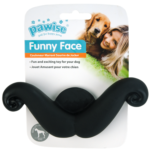 Bigode de Cara Engraçada Pawise