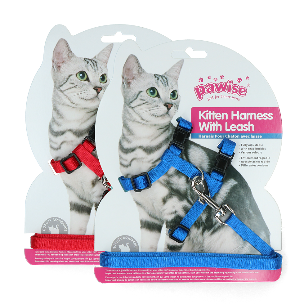 Coleira para gatinho Pawise com guia vermelha