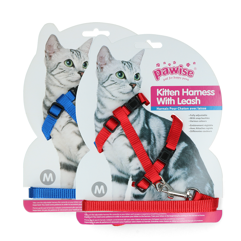 Coleira para gatinho Pawise com guia vermelha