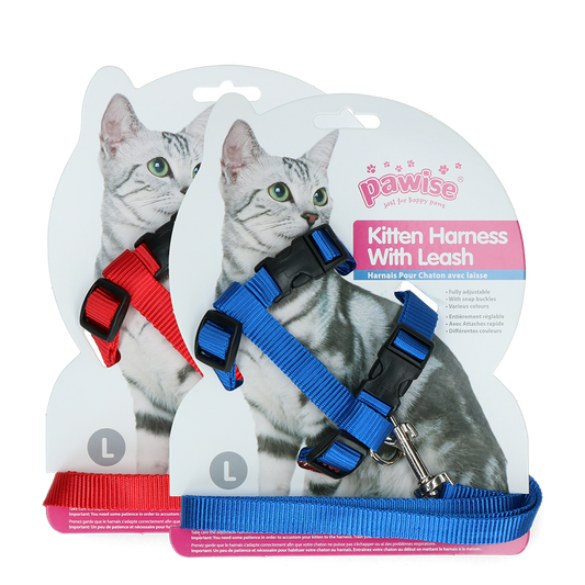 Coleira para gatinho Pawise com guia vermelha e azul