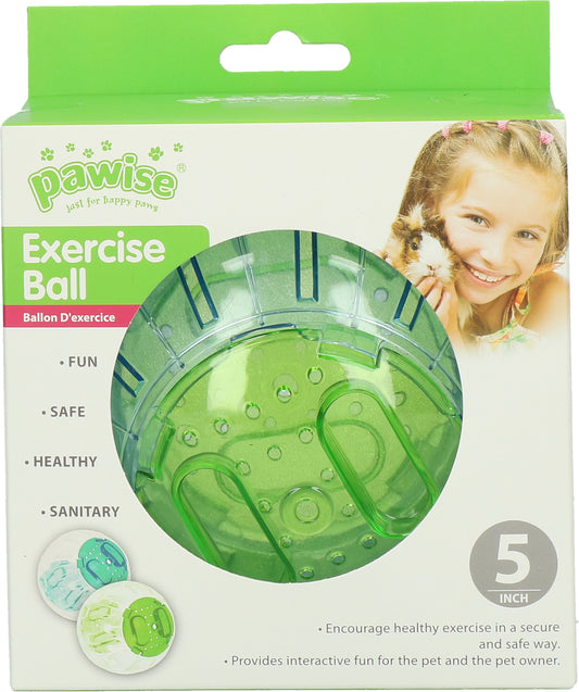 Bola de Exercícios Paiwise