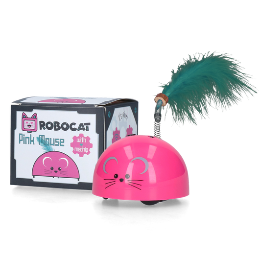 Robocat Mouse