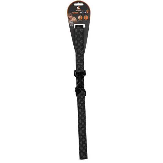 Coleira Spotted Pro Perfect Leash Cinza Escuro