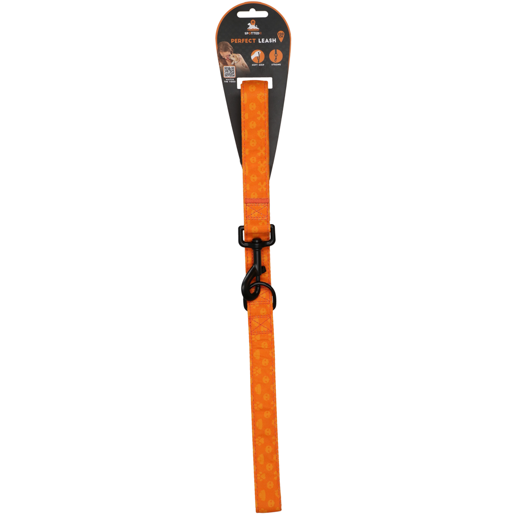 Coleira Spotted Pro Perfect Leash Laranja