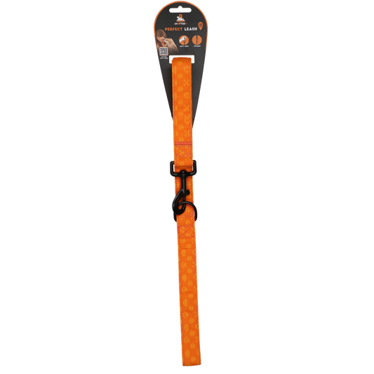 Coleira Spotted Pro Perfect Leash Laranja