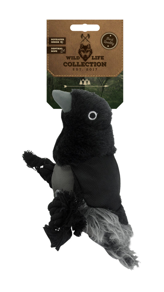 Cão selvagem corvo