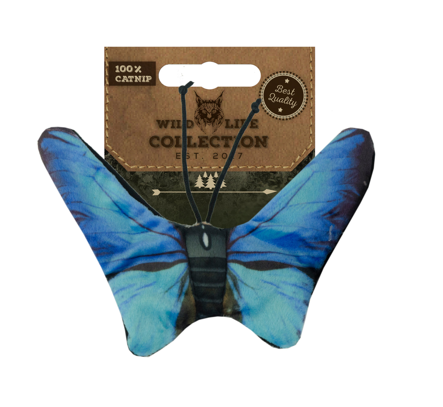 Gato da Vida Selvagem Borboleta