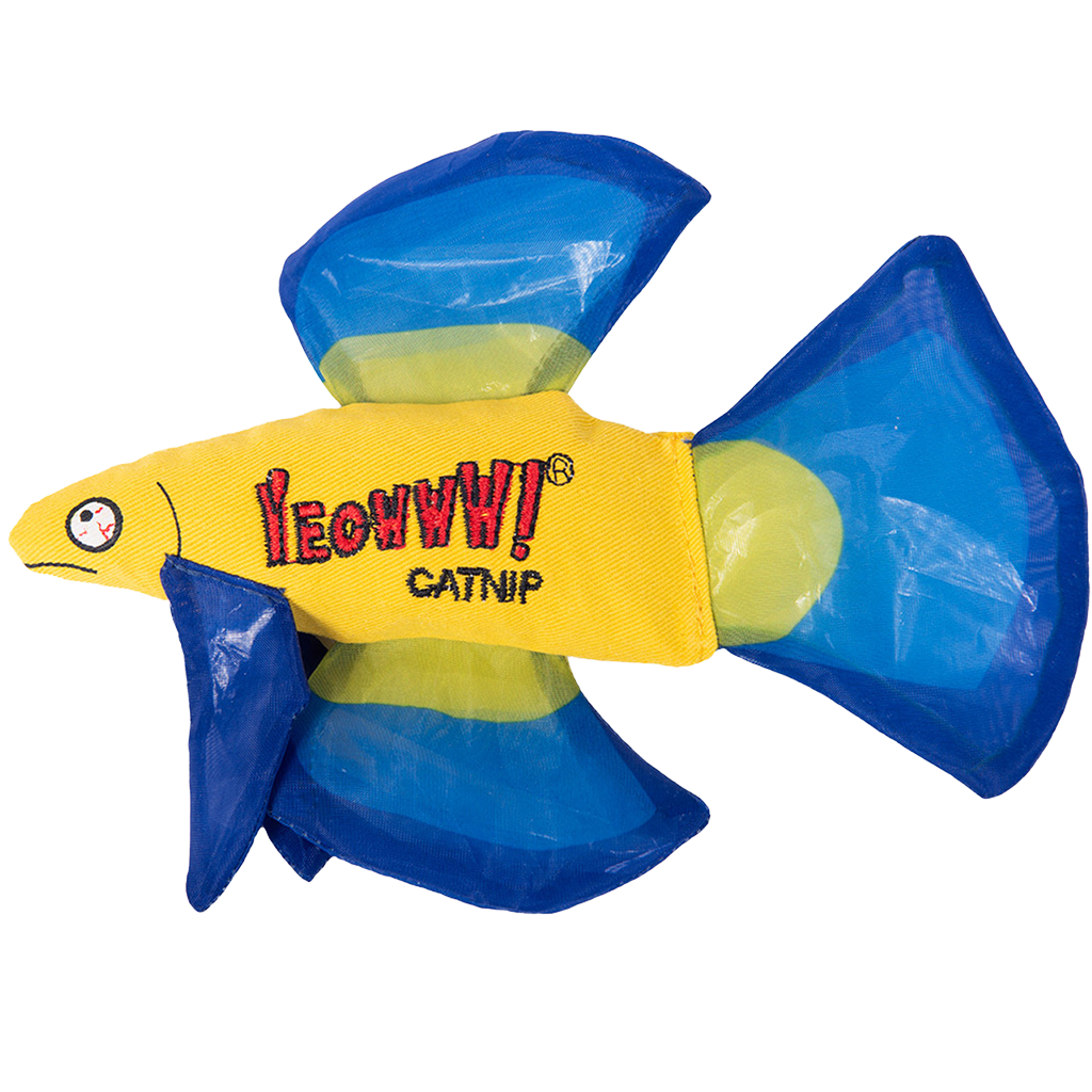 Yeowww Mo Peixe Betta
