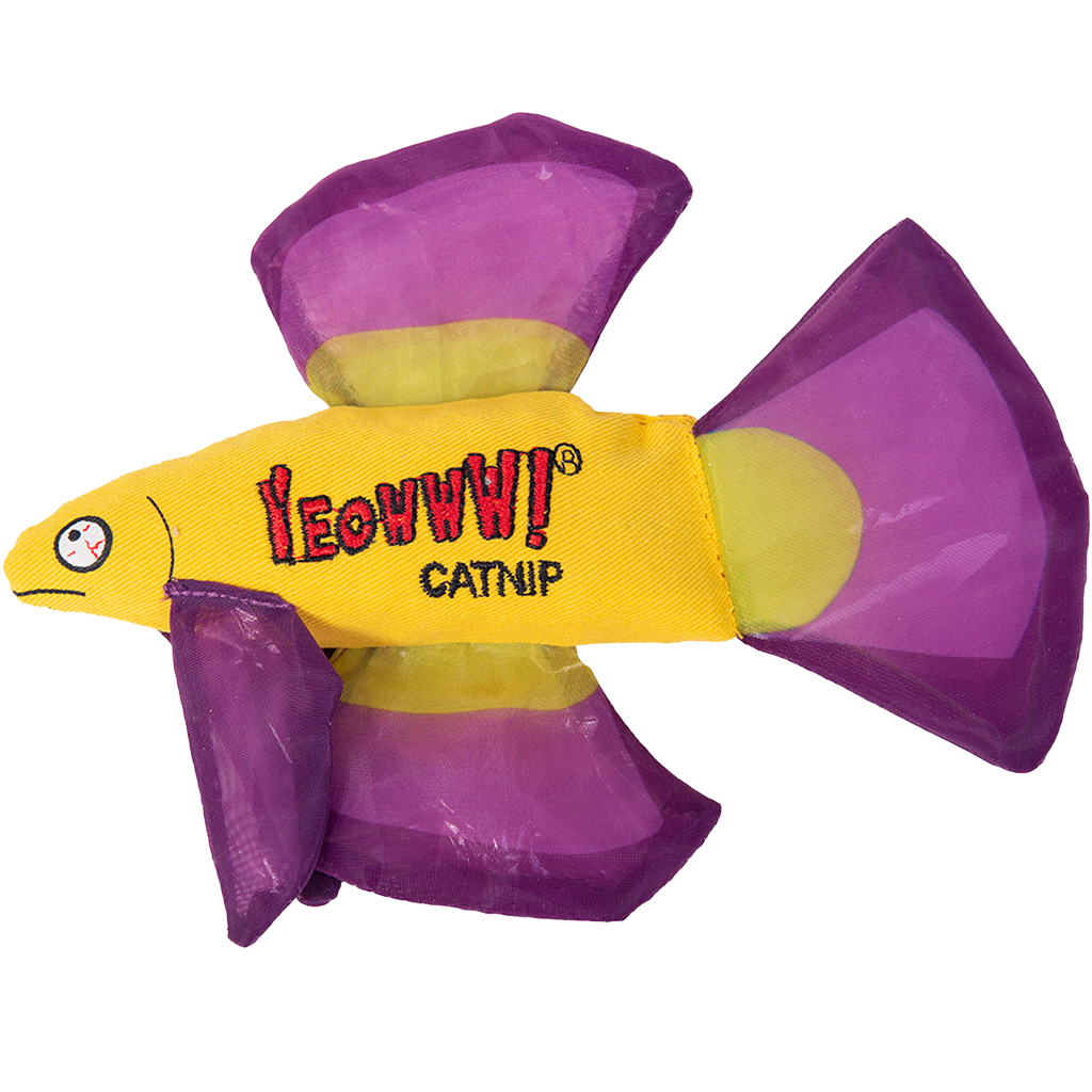 Yeowww Mo Peixe Betta