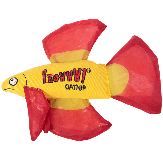 Yeowww Mo Peixe Betta