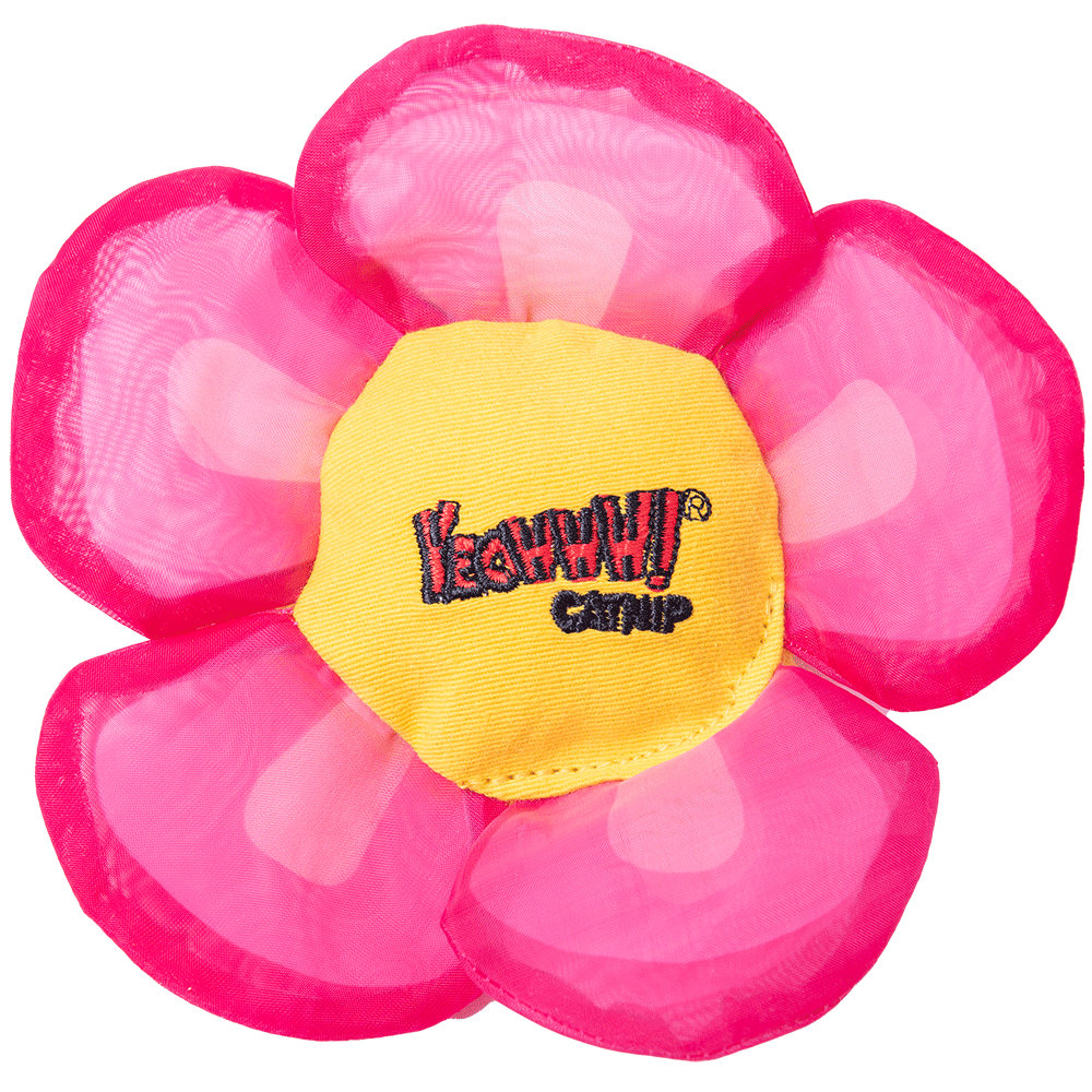 Yeowww Margaridas Flores Topos